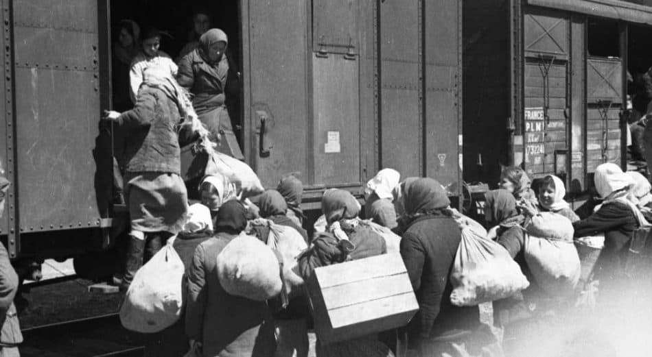 Эвакуация мирных жителей в годы Великой Отечественной войны. Фото: vgudok.com